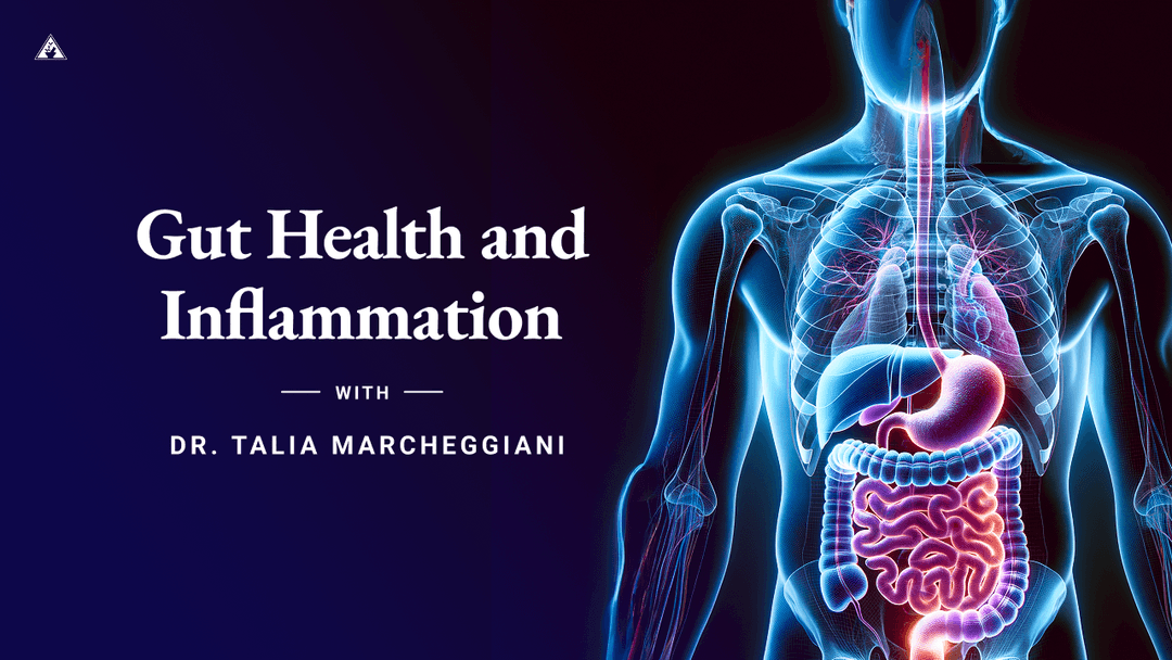 Gut Health and Inflammation with Dr. Talia Marcheggiani